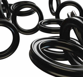 Anéis Quad-ring em Vinhedo